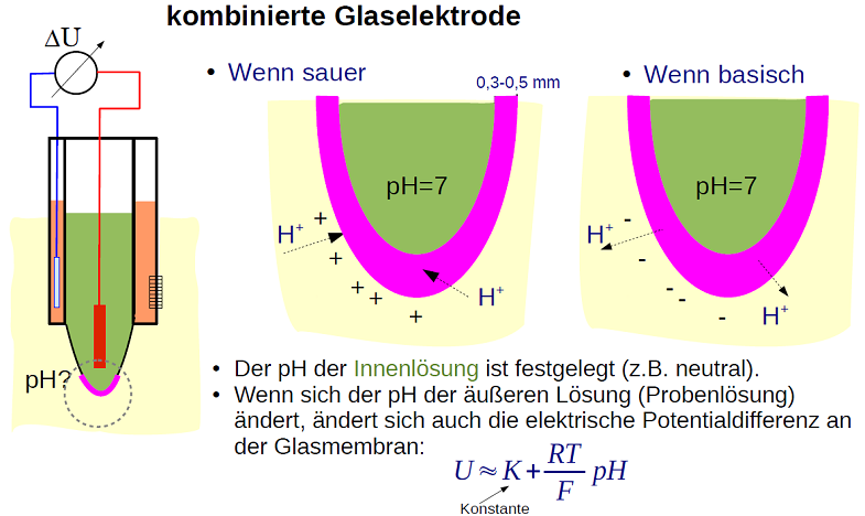 Ph Elektroden Zur Messung Des Ph Wertes Medtec Signalged Ns Repetico