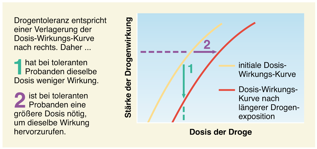 Beschreiben Sie Den Zusammenhang Von Toleranzentwicklung