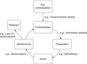 Transtheoretisches Modell Der Verhaltenskontrolle Motivation Und