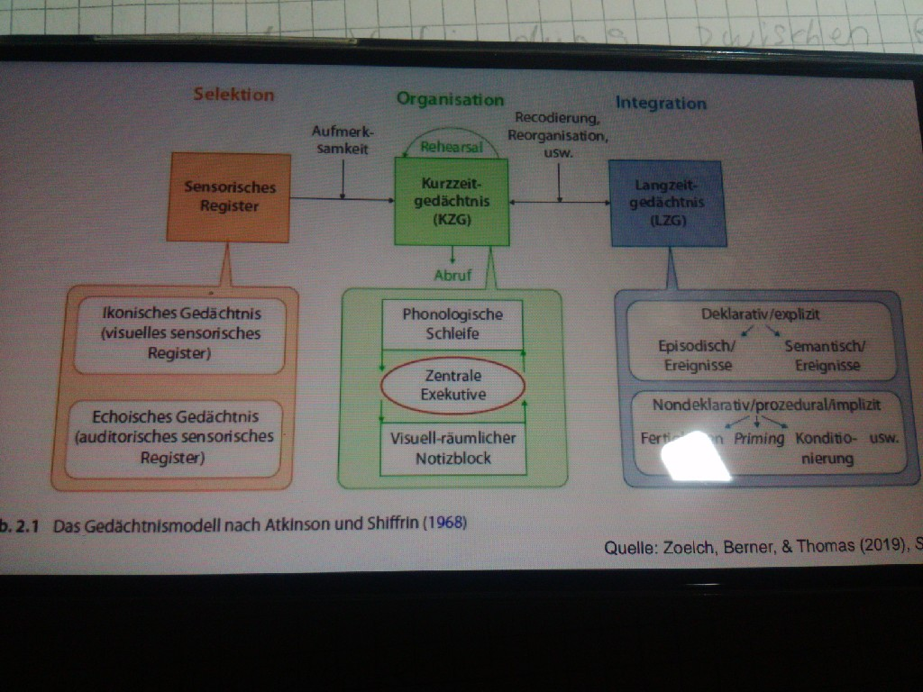 Mehrspeichermodelle Gedächtnis Psychologie für Pädagogen M1 Repetico