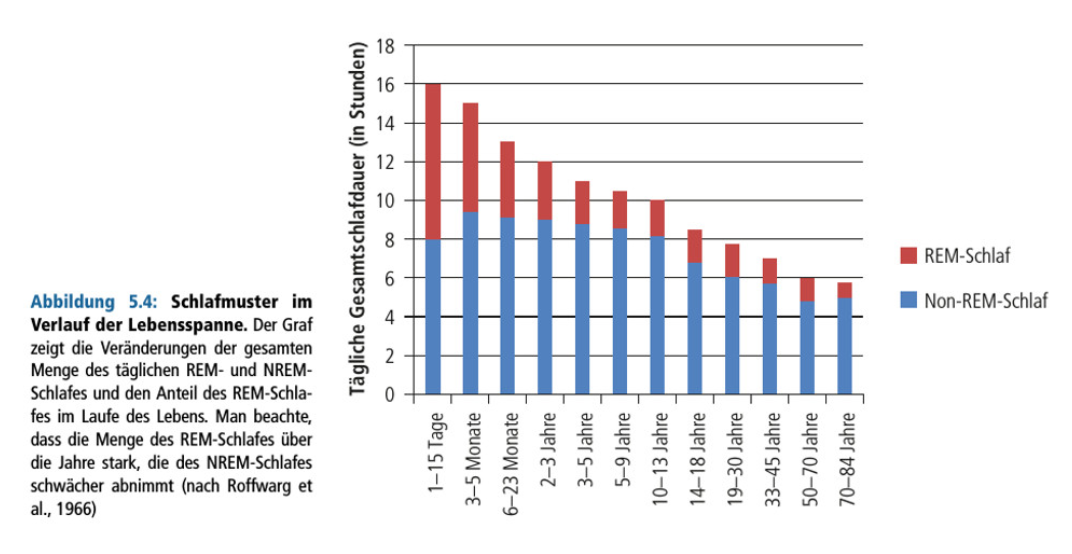 Wie Veraendert Sich Das Schlafmuster Mit Dem Alter M1 U5 Einfuehrung