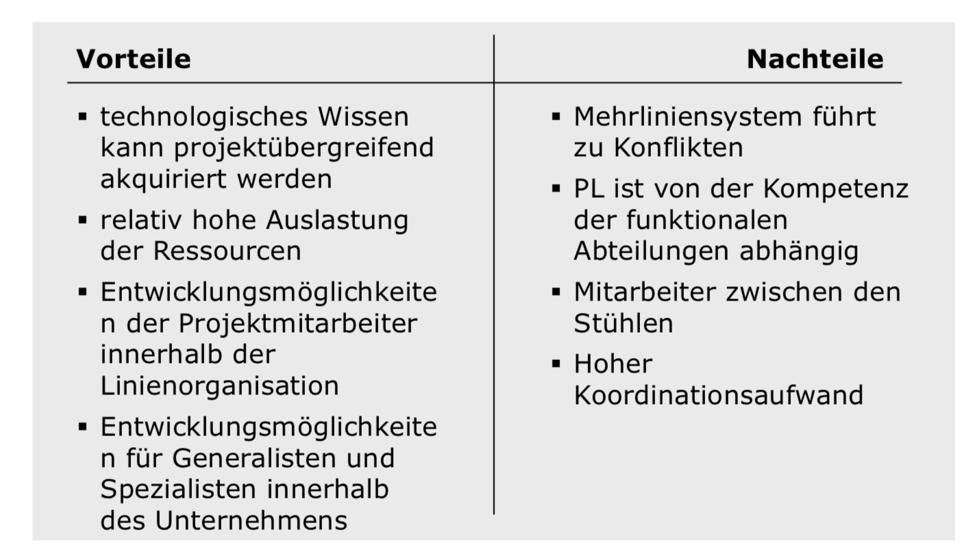 Projektmatrixorganisation (Mehrliniensystem) - Vor- und... | Immobilienwirtschaft und ...