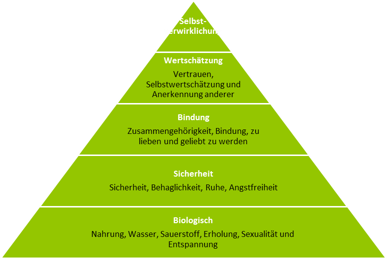 bedürfnis befriedigen Was ist der Unterschied zwischen Bedarf und Bedürfnis? main image 0