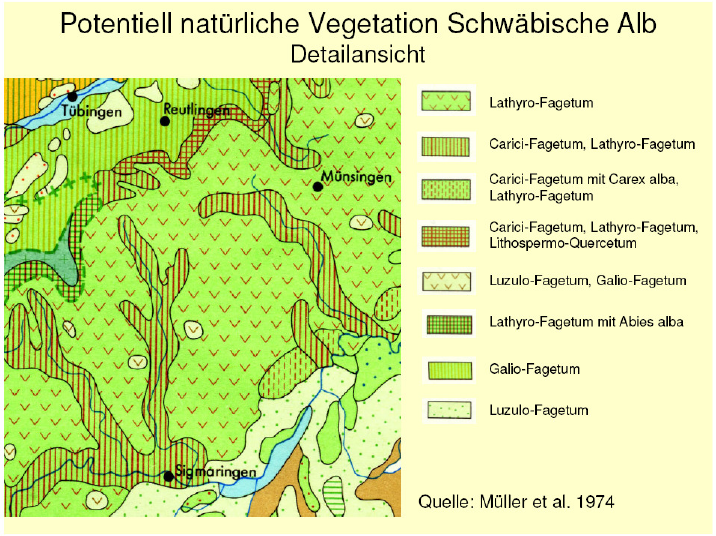 Wie Sieht Die Potenziell Natürliche Vegetation Der Schw... | LÖME ...