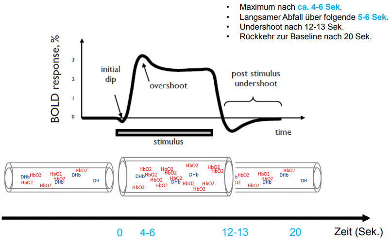 Fmrt Fmrt Eigenschaften | funktionelle Magnetresonanztomografie (fMRT) – NAPJLY