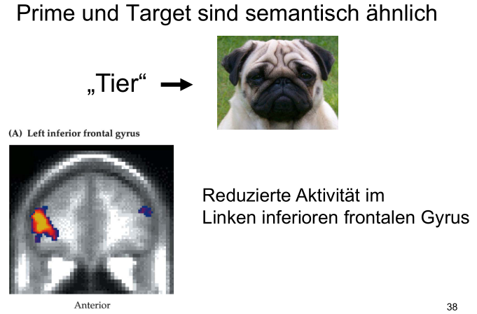 Konzeptuelles Priming Gedächtnissysteme Teil III Repetico