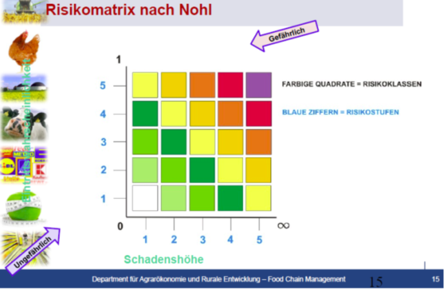 Nohl risiko nach Excel Vorlage