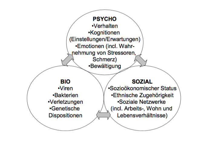 Bio Psycho Soziales Modell Beispiel www.repetico.de
