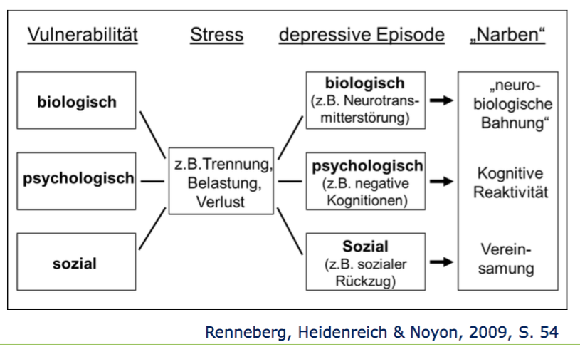 Vulnerabilitäts Stress Modell Depression Wie ist das Vulnerabilitäts-Stress-Modell aufgebaut? | Klinische