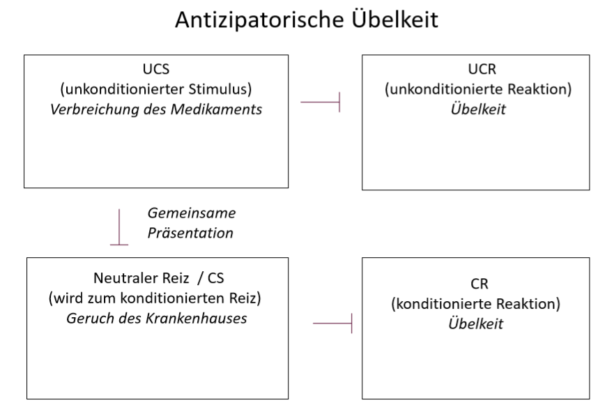 Phasen Klassische Konditionierung | Emotionen, Lernen, Kognitionen ...