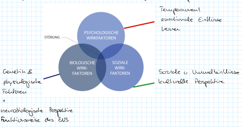 Bio Psycho Soziales Modell Zur Entstehung Von Psy Stor Einfuhrung In Die Anwendungsfelder Repetico