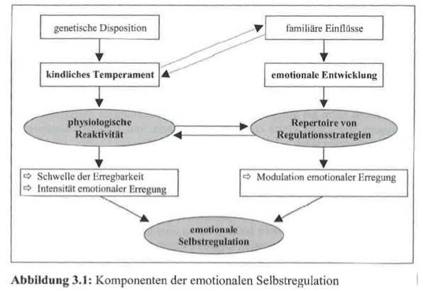 F93.80 Generalisierte Angststörung Des Kindesalters Komponenten der emotionalen Selbstregulation | Schulpsychologie des
