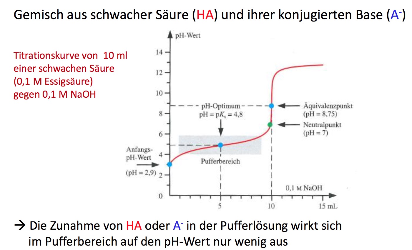 Was ist eine Pufferlösung?Beschreibe den Kurvenverlauf Chemie Säuren und Basen