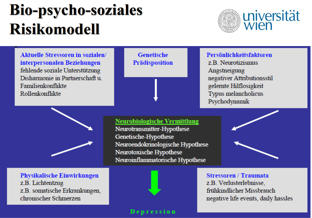 Wie zeichnet sich das bio-psycho-soziale Risikomodell f... | klinische ...