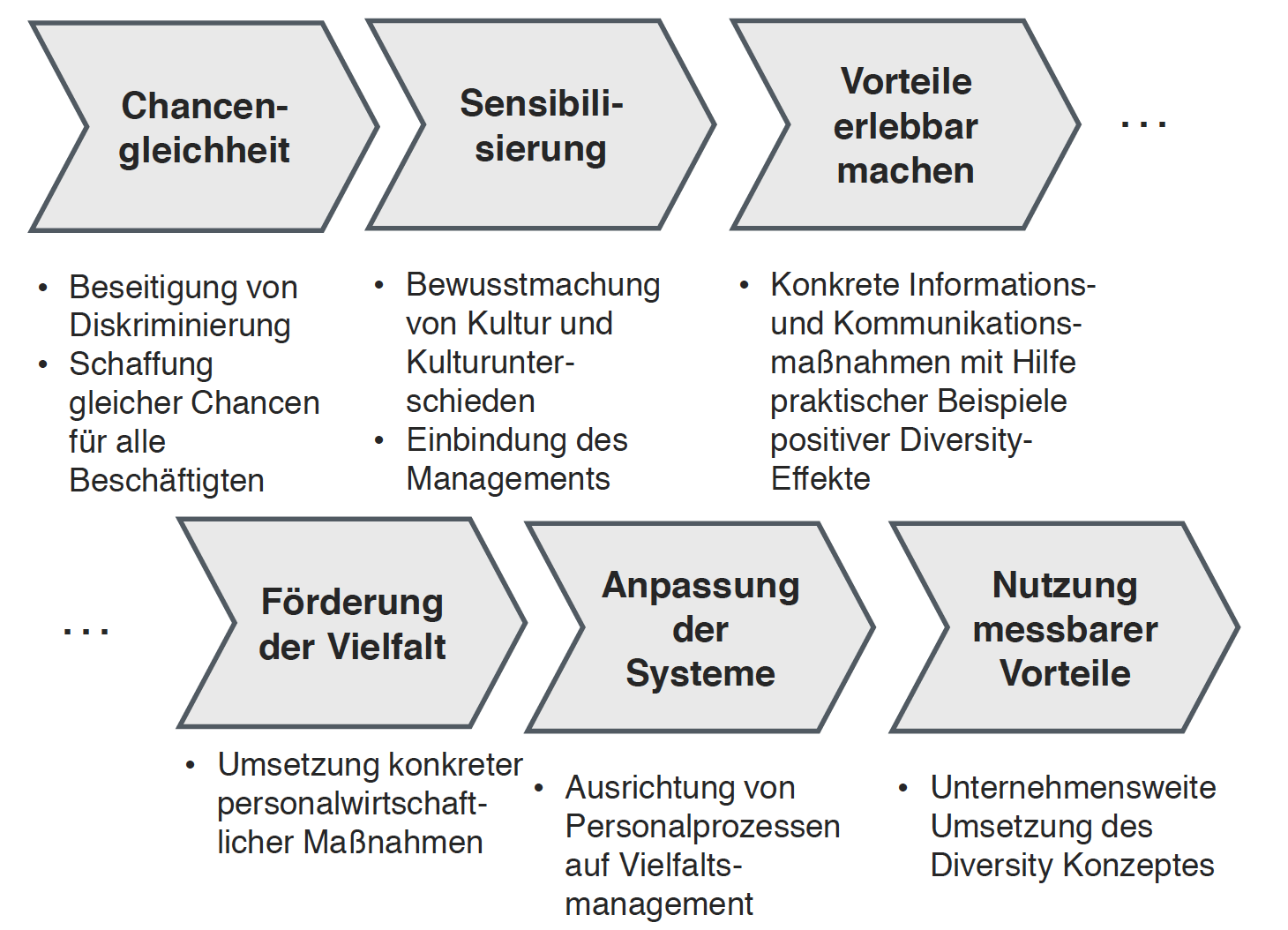 Diversity Management Als Entwicklungsprozess | 6. Semester ...