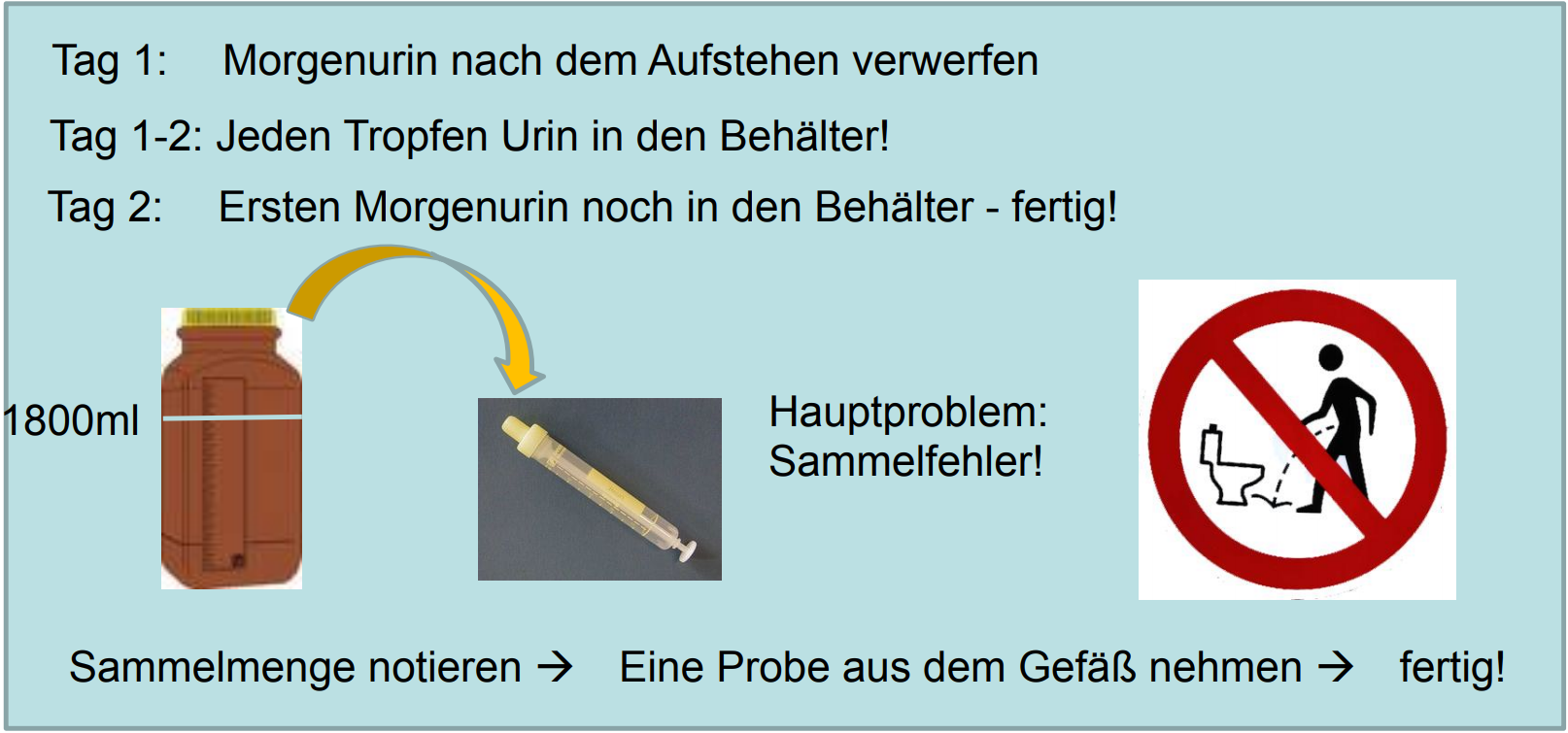 24 Stunden Sammelurin Was Beachten www.repetico.de