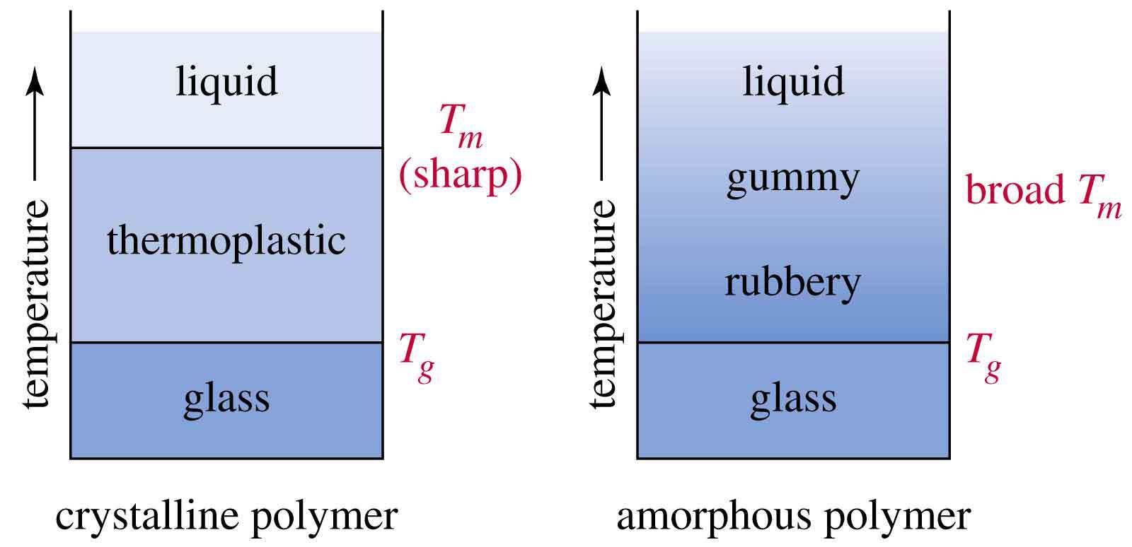 Physical Polymer Explain the physical properties of polymers as originating