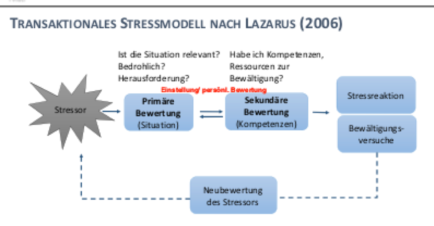 Lazarus Stressmodell Physik Dieses Modell Sieht Stresssituationen