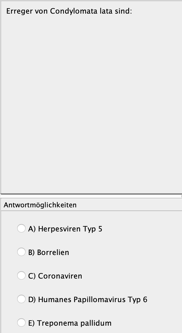 Condyloma lata Infektionskrankheiten Repetico
