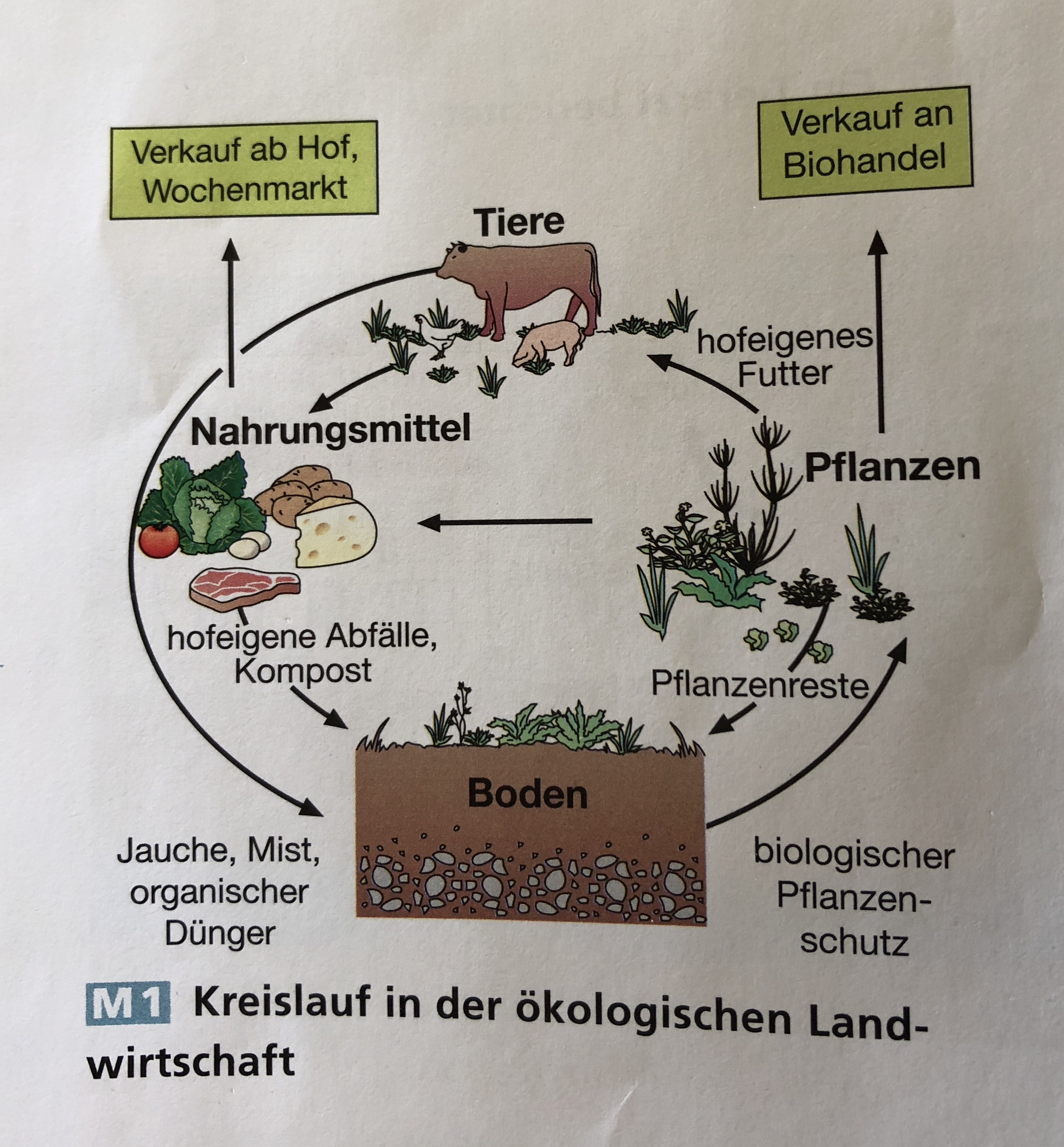 Erkläre den Kreislauf der ökologischen Landwirtschaft | Erdkunde