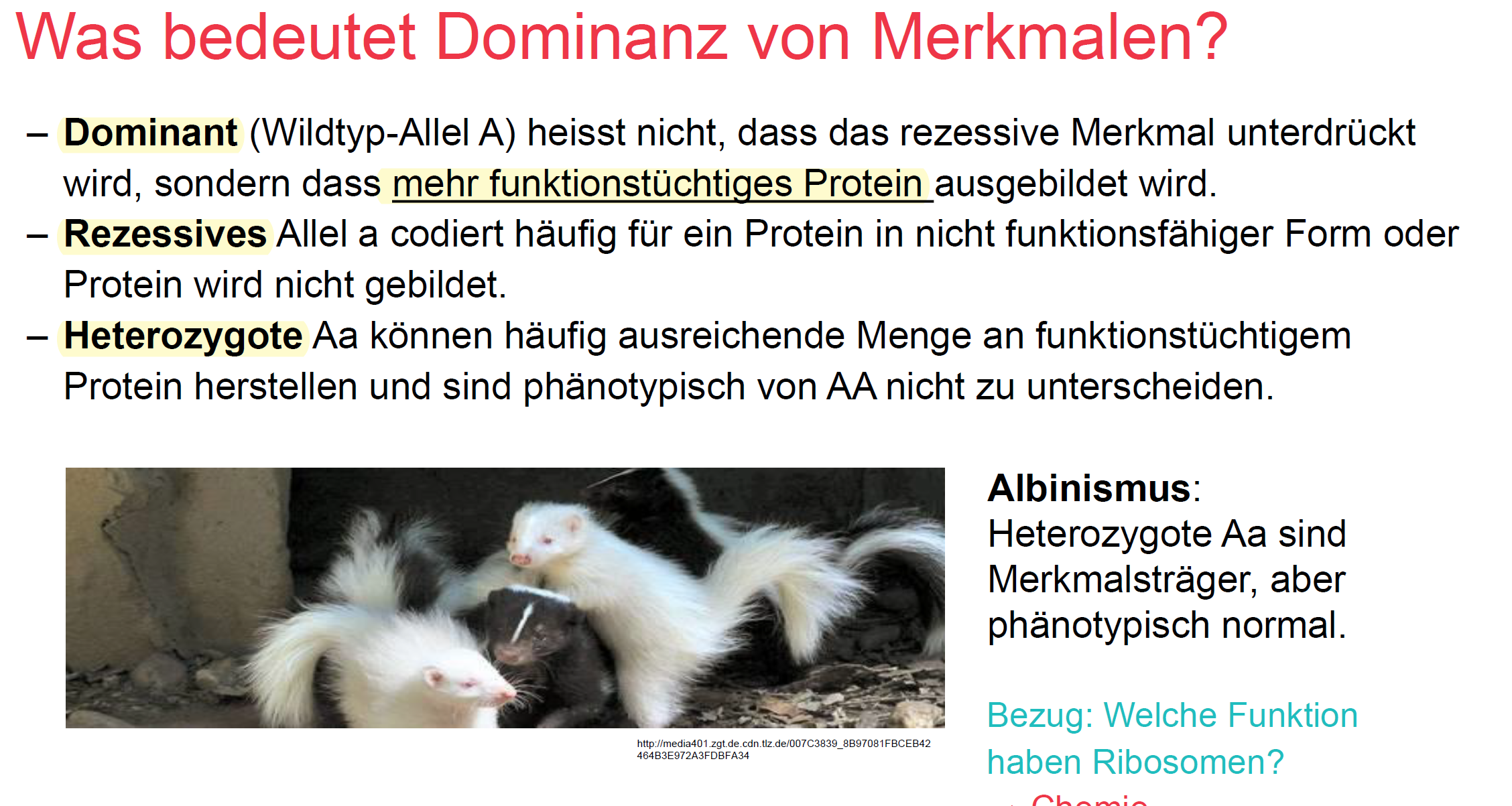 Was bedeutet Dominanz von Merkmalen?- Was ist dominant?-... | 2a