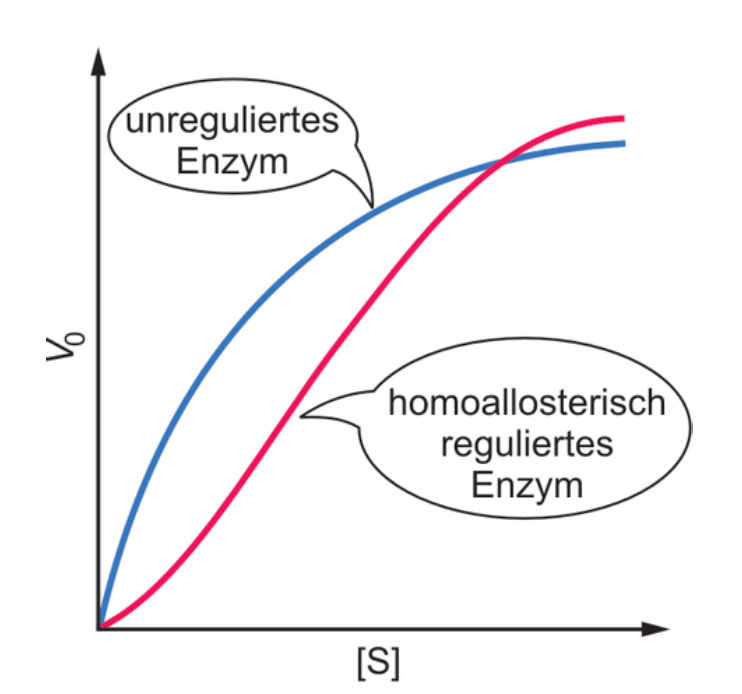 Besondere Eigenschaften allosterisch regulierter Enzyme Biochemie