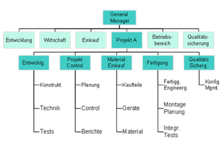 Reine Projektorganisation (autonomes Projekt) | Projektmanagement ...