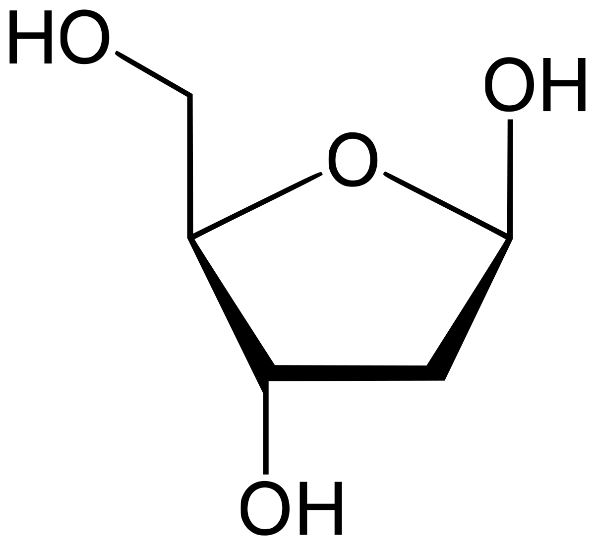 Nenne Struktur und Funktion von Desoxyribose. 2. Modul 3. Woche