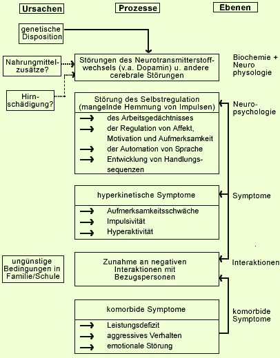 Biopsychosoziales Modell Ätiologie ADHS Nach Döpfner | Klinische ...