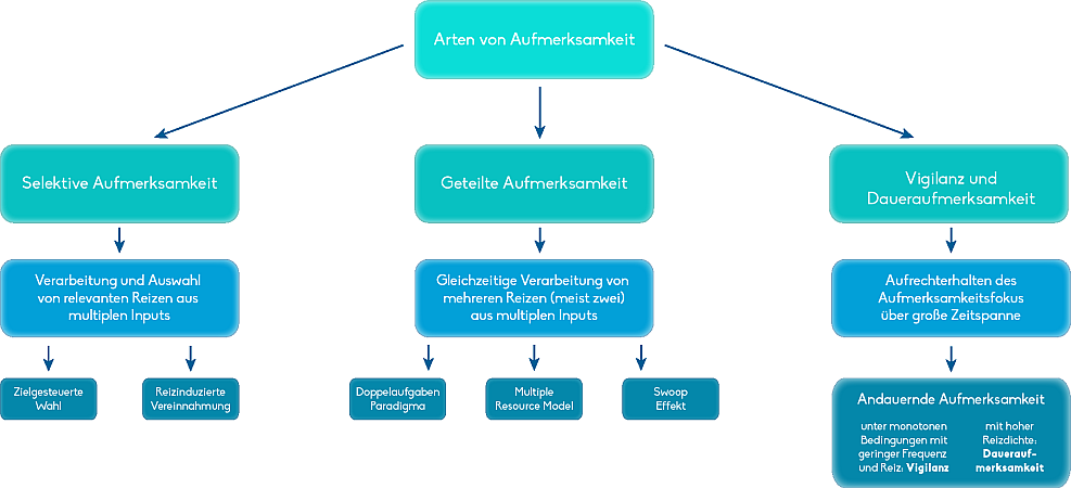 Welche 3 Klassen von Aufmerksamkeit werden unterschieden?