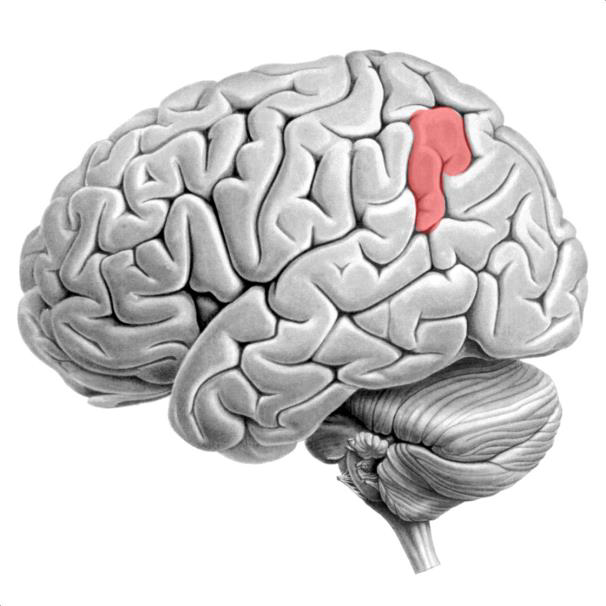 Funktion/BereichArithmetik (Akalkulie)vgl. theor. Modell... 01