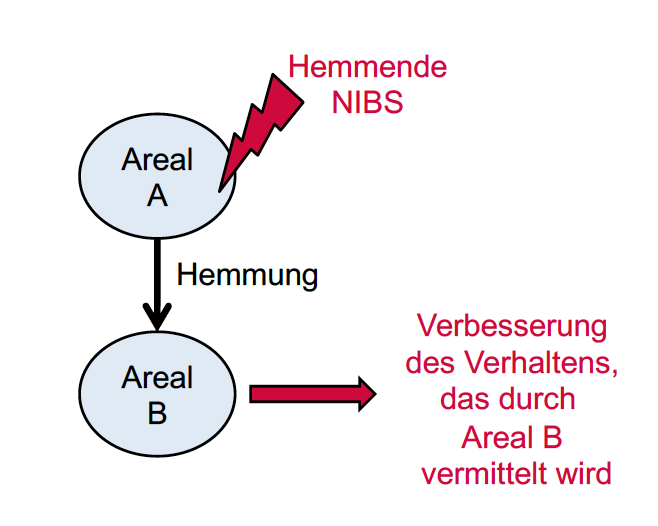 Verschränkung Hormoneller Und Neuronaler Steuerung www.repetico.de