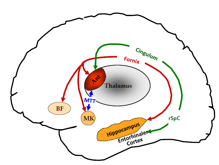 Episodisches Ged chtnis Verbal Visuell 01 Neuropsy Diagn episodisches-ged-chtnis-verbal-visuell-01-neuropsy-diagn