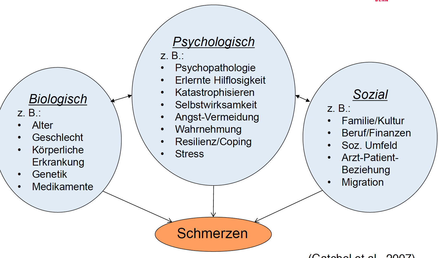 Biopsychosoziales Schmerzmodell | 07_BasisII_Folien_Schmerzstörungen ...