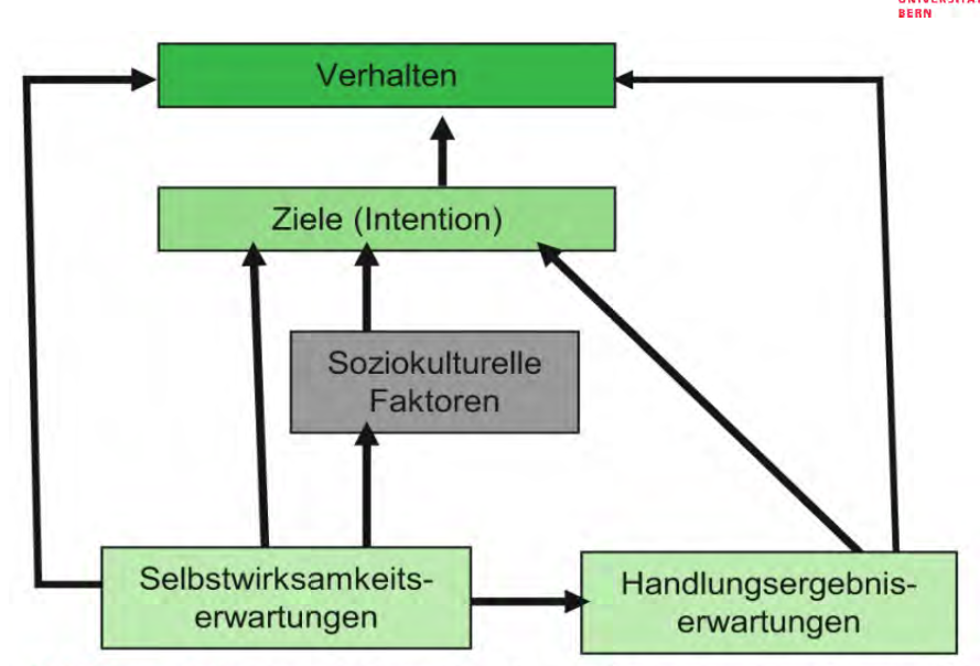 Die Sozial-kognitive Theorie | 03_Gesundheitspsy Psychologische ...