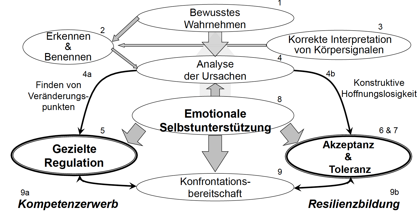 Modell Des Konstruktiven Umgangs Mit Negativen Emotionen 