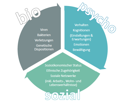 Bio Psycho Soziales Modell Renneberg Hammelstein Vu Klinische Psychologie Repetico
